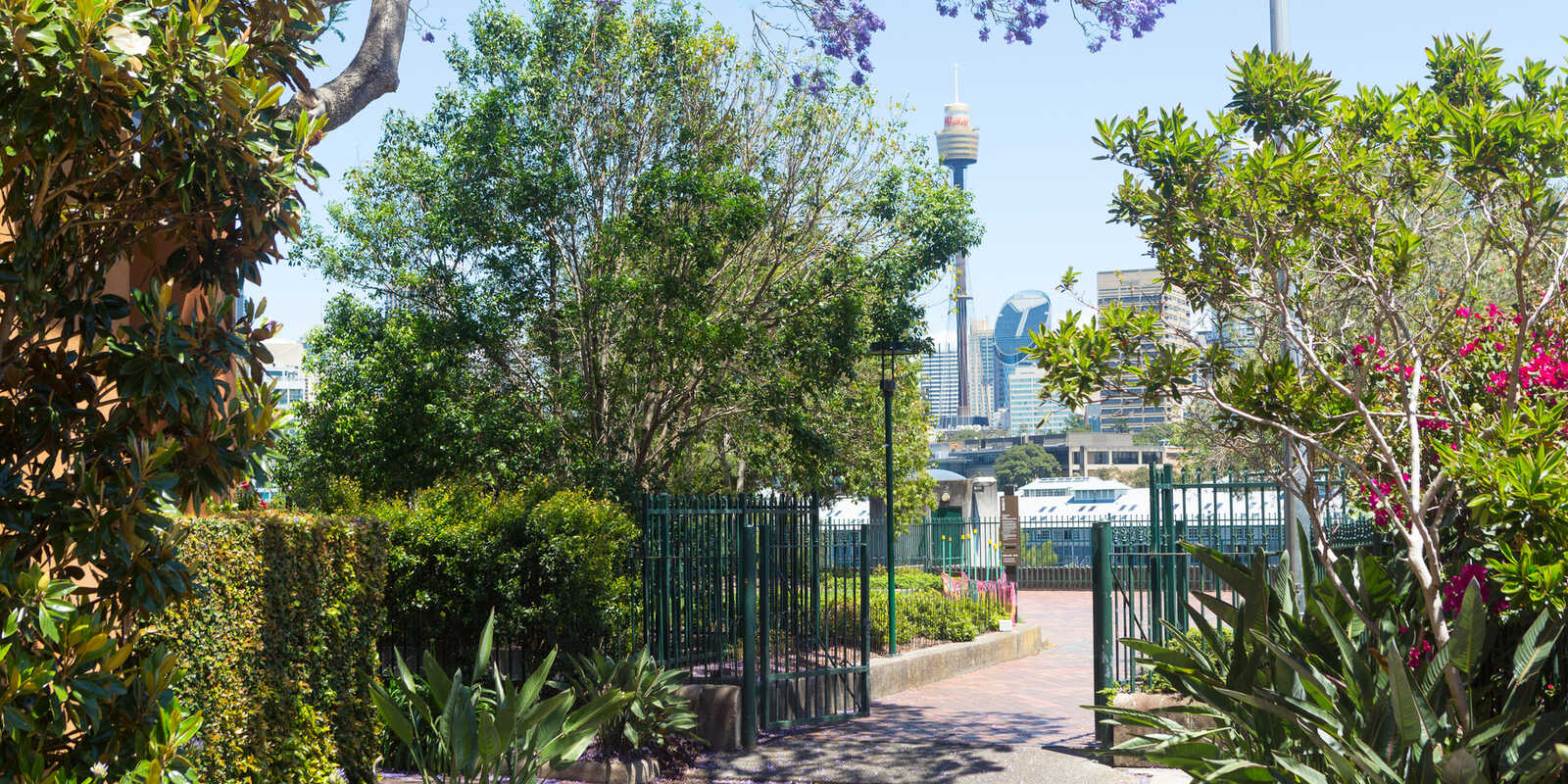 804/145 Victoria Street Potts Point 804/145 Victoria Street Potts Point