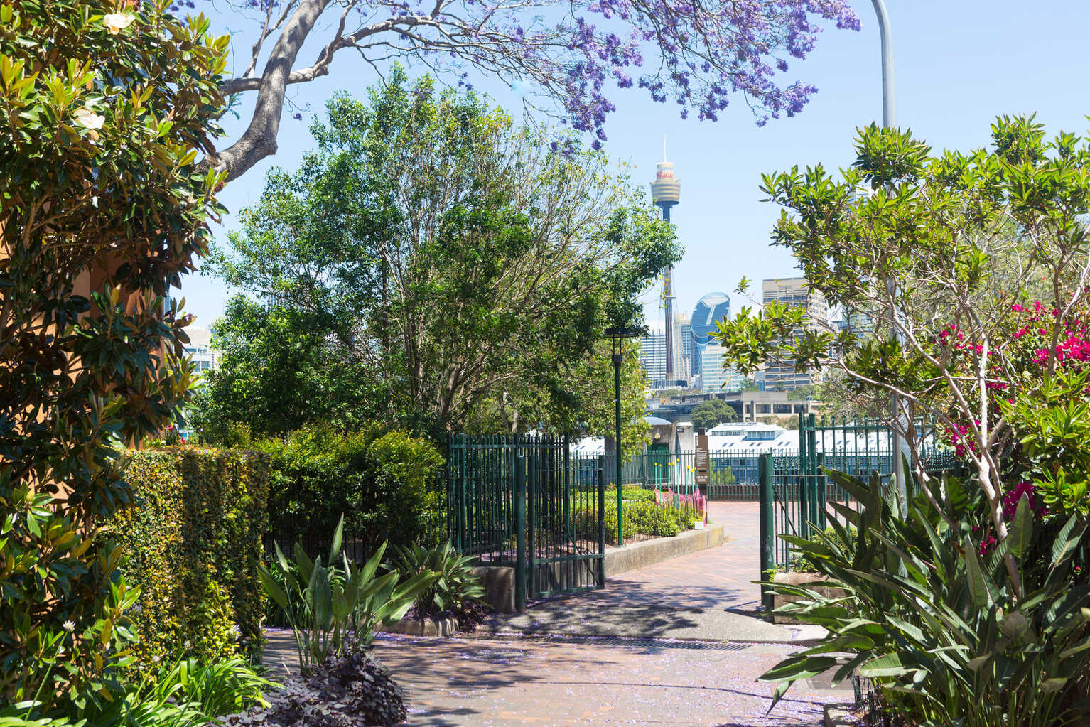 804/145 Victoria Street Potts Point 804/145 Victoria Street Potts Point
