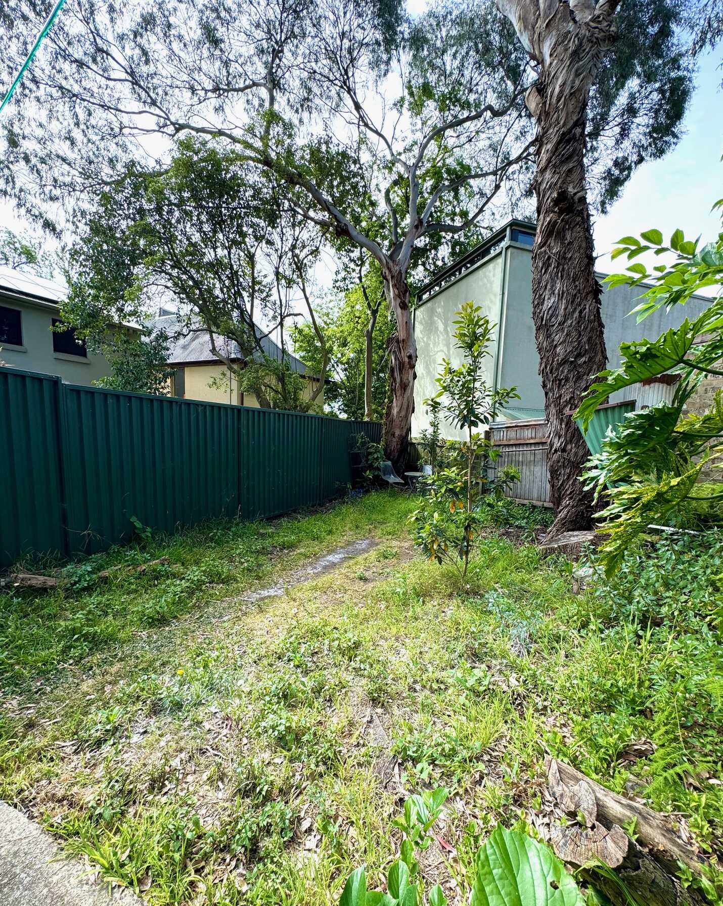 31 Cavendish Street Enmore, Enmore - Thumbnail 7