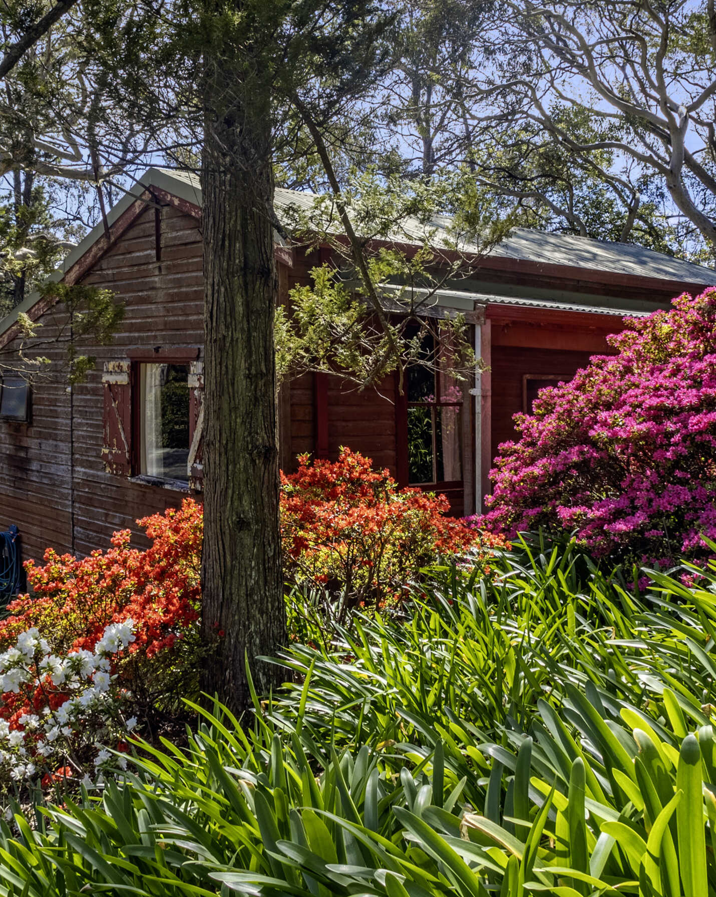 23 Shipley Road Blackheath, Blackheath - Thumbnail 2