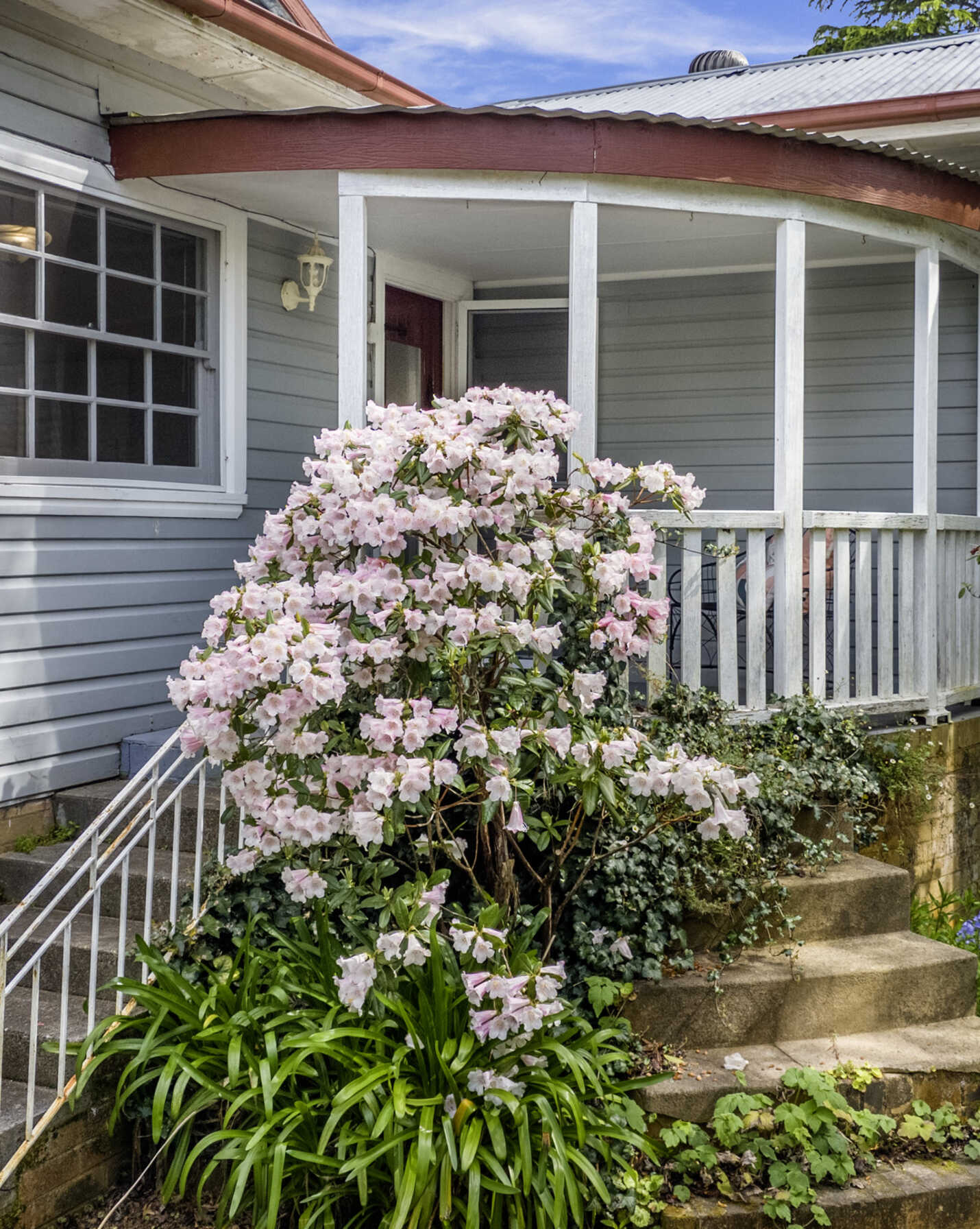 76 Wentworth Street Blackheath, Blackheath - Thumbnail 2