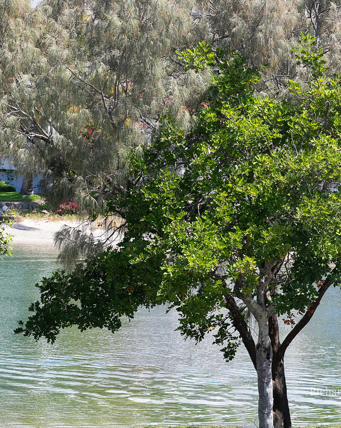 312 & 313/32 Hastings Street Noosa Heads, Heads - Thumbnail 6