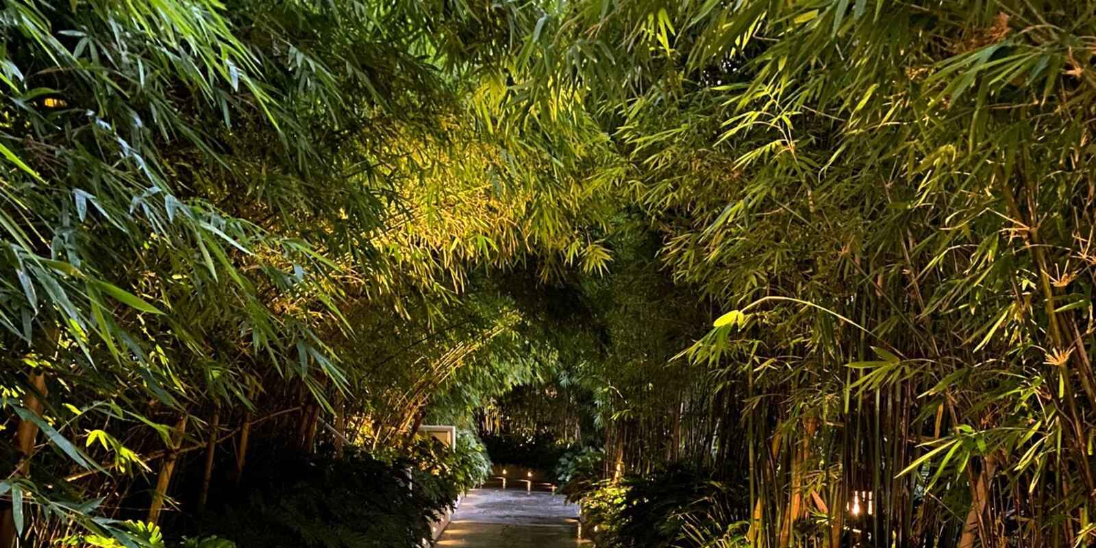 A307/18 O'Dea Avenue Waterloo A307/18 O'Dea Avenue Waterloo