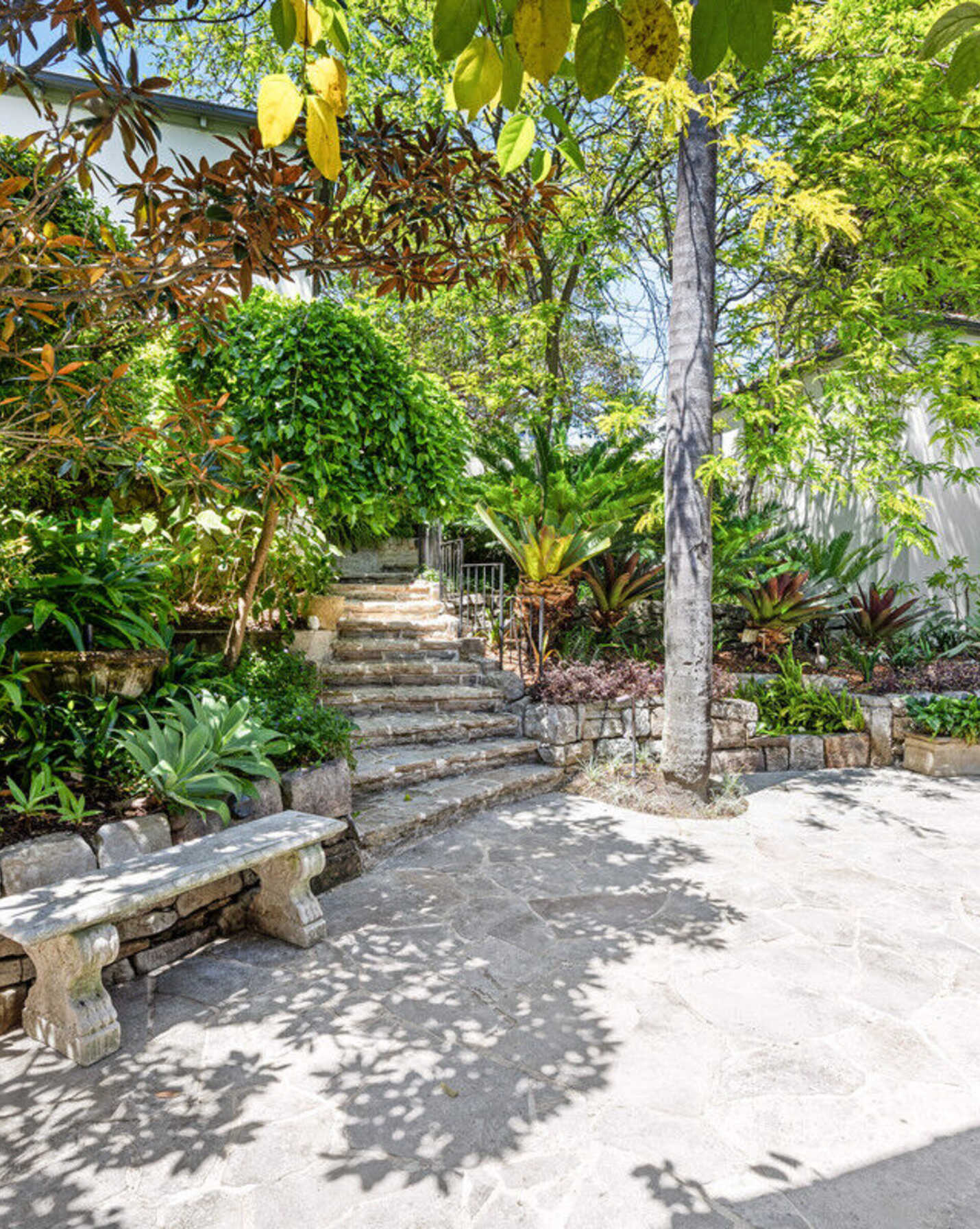 31 Suttie Road Bellevue Hill, Hill - Thumbnail 3