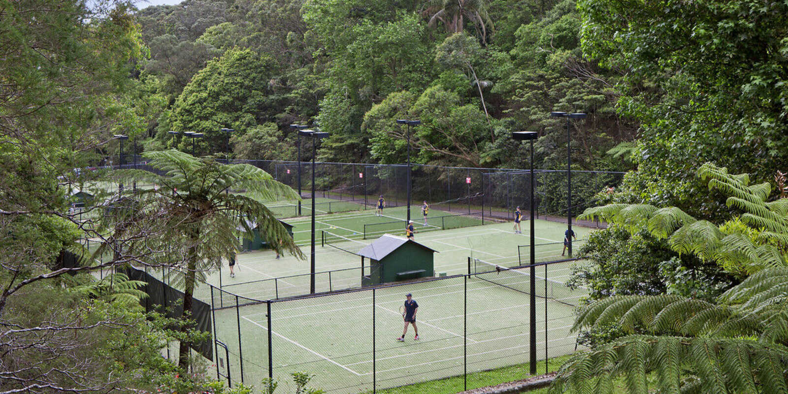 31 Suttie Road Bellevue Hill 31 Suttie Road Bellevue Hill
