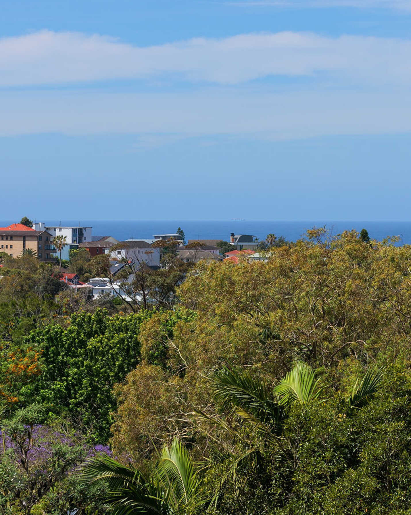 13/414 Bronte Road Bronte, Bronte - Thumbnail 5