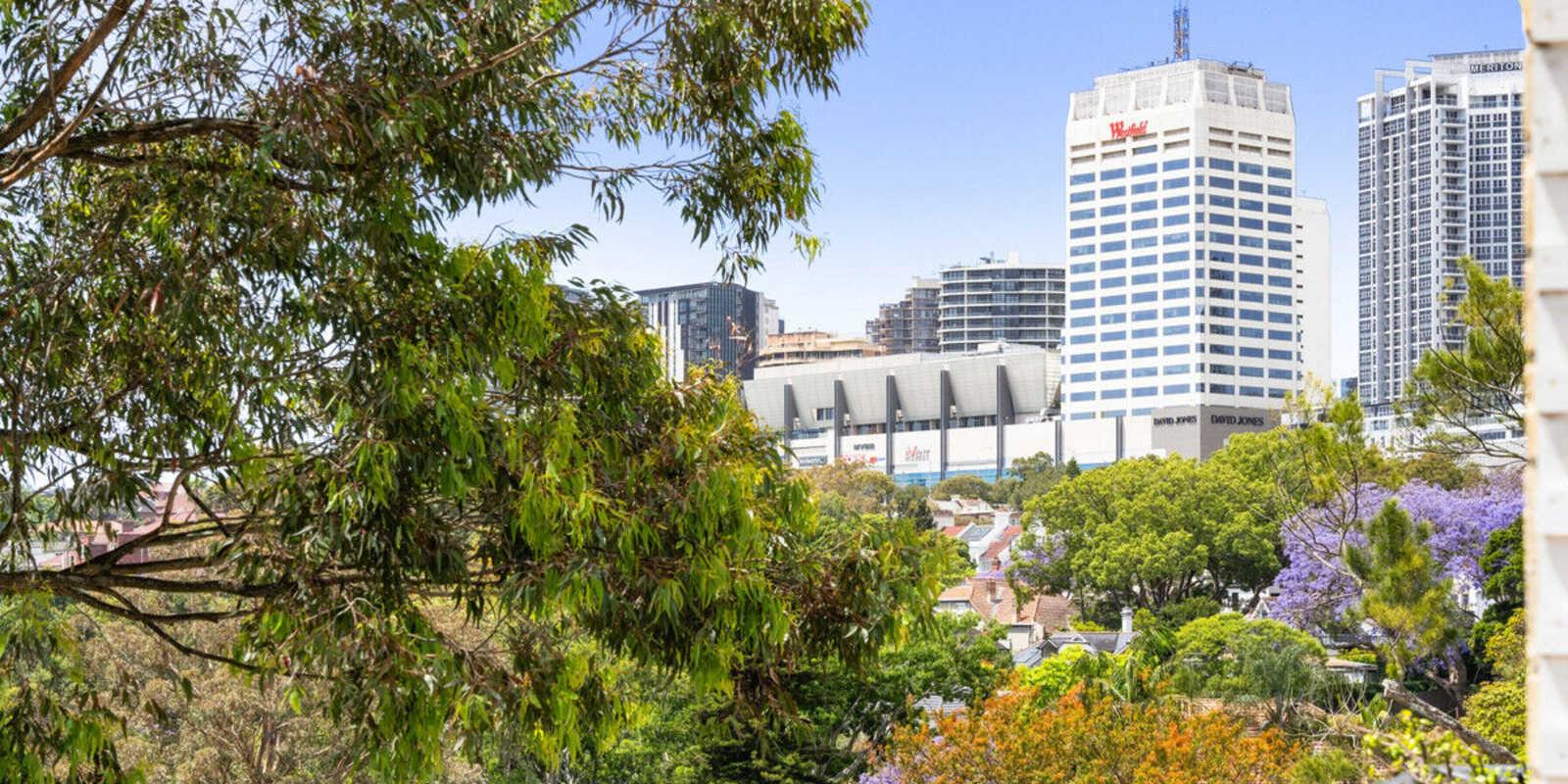 44/19 Stanley Street Woollahra