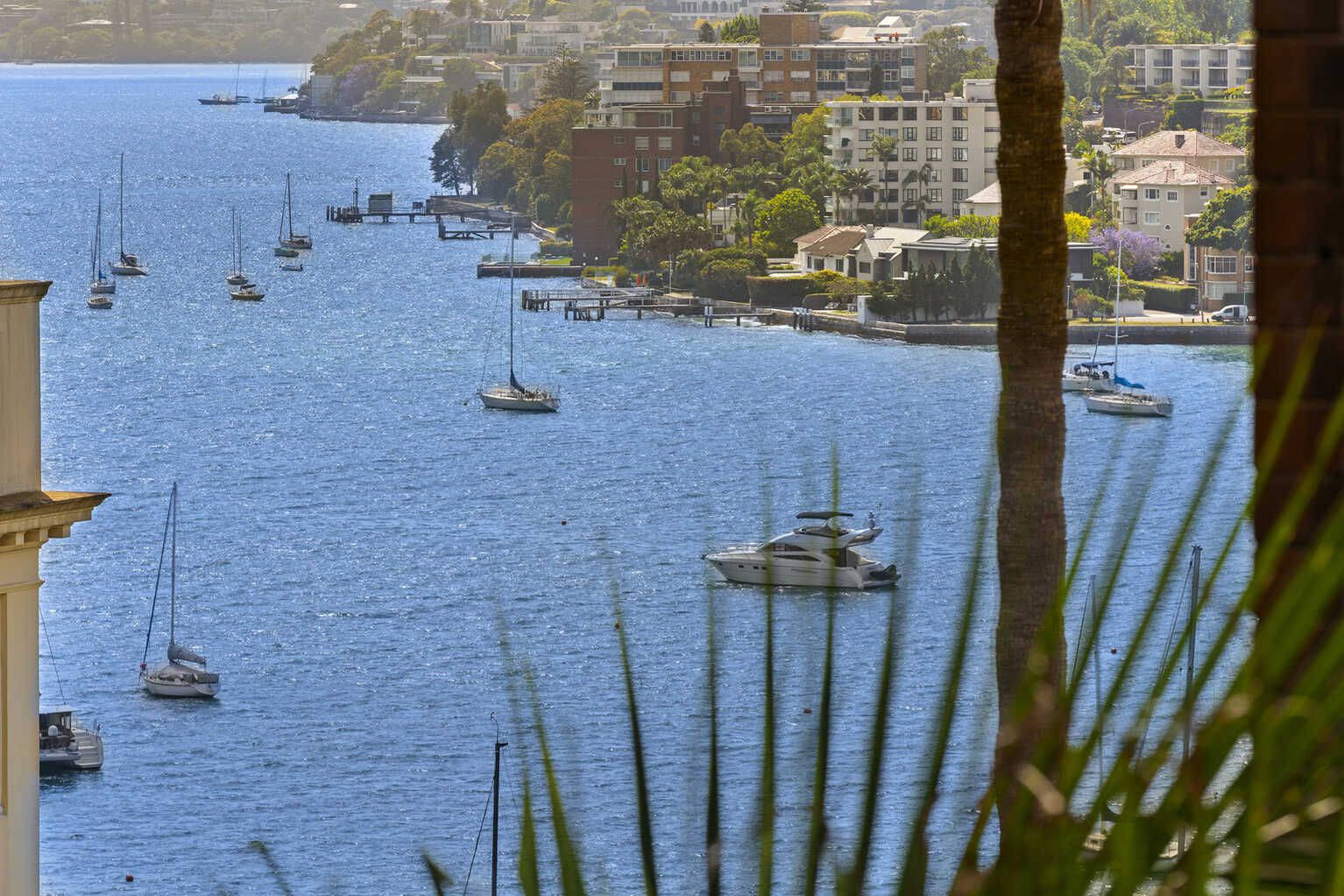 33/16 Macleay Street Potts Point 33/16 Macleay Street Potts Point