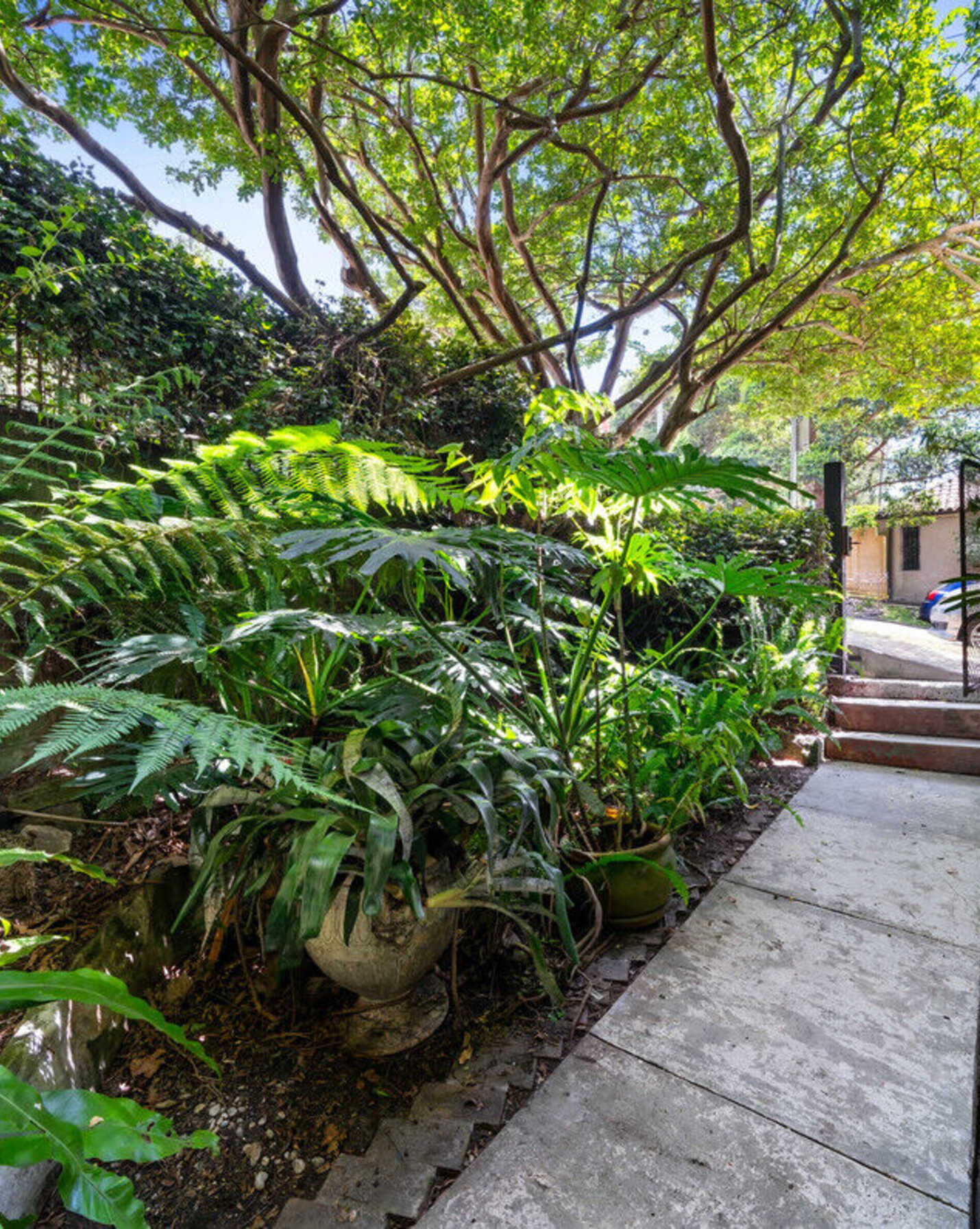 251 Edgecliff Road Woollahra, Woollahra - Thumbnail 6