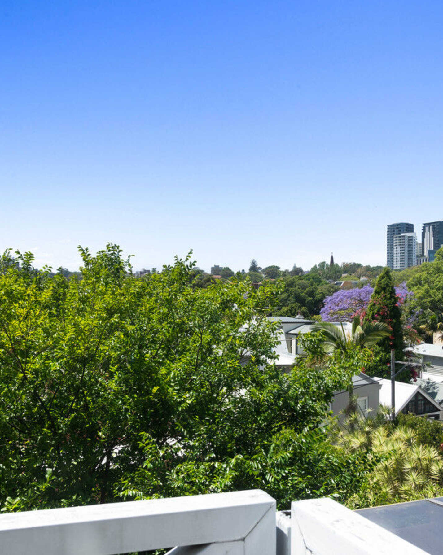 251 Edgecliff Road Woollahra, Woollahra - Thumbnail 7