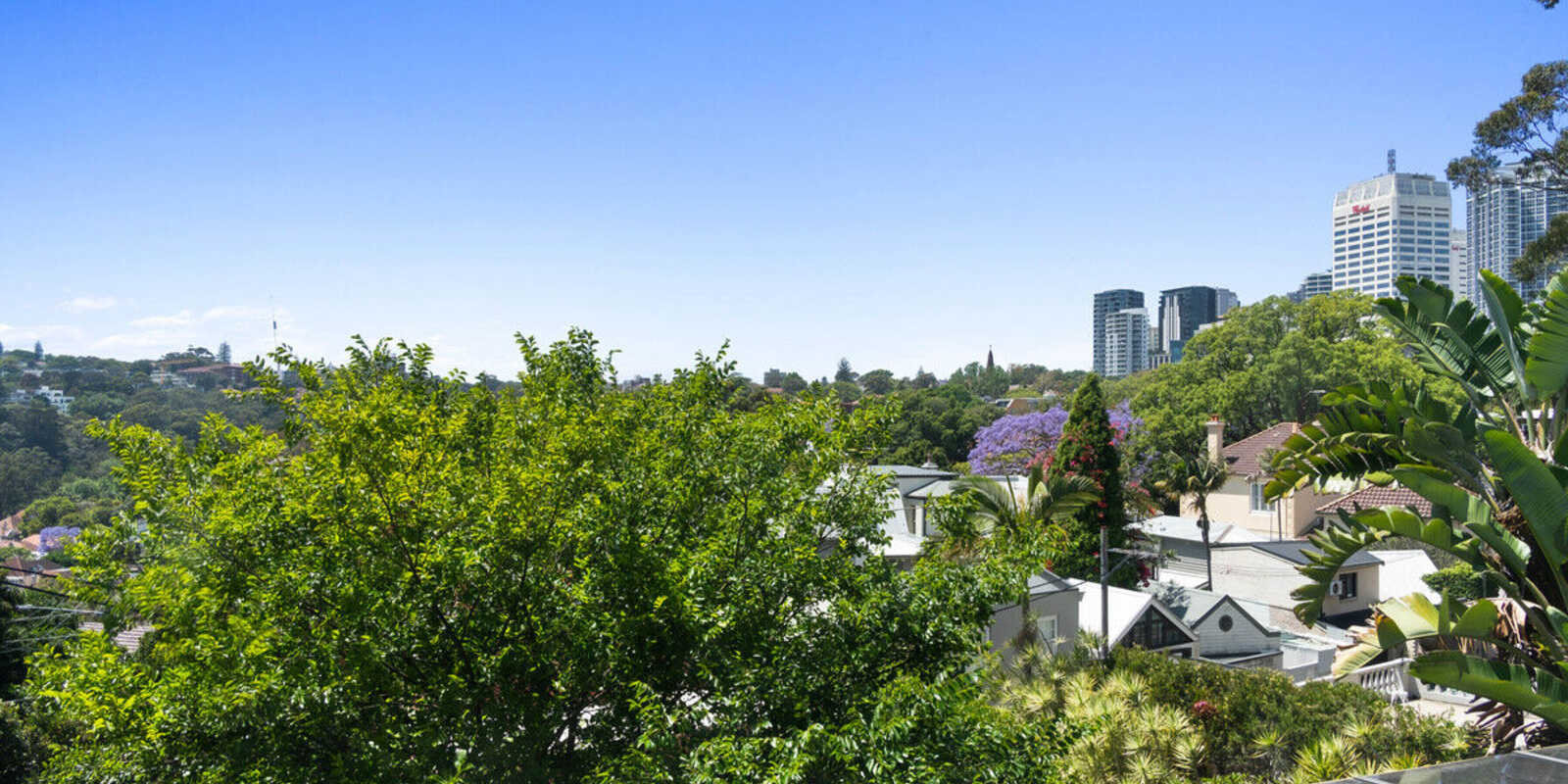 251 Edgecliff Road Woollahra