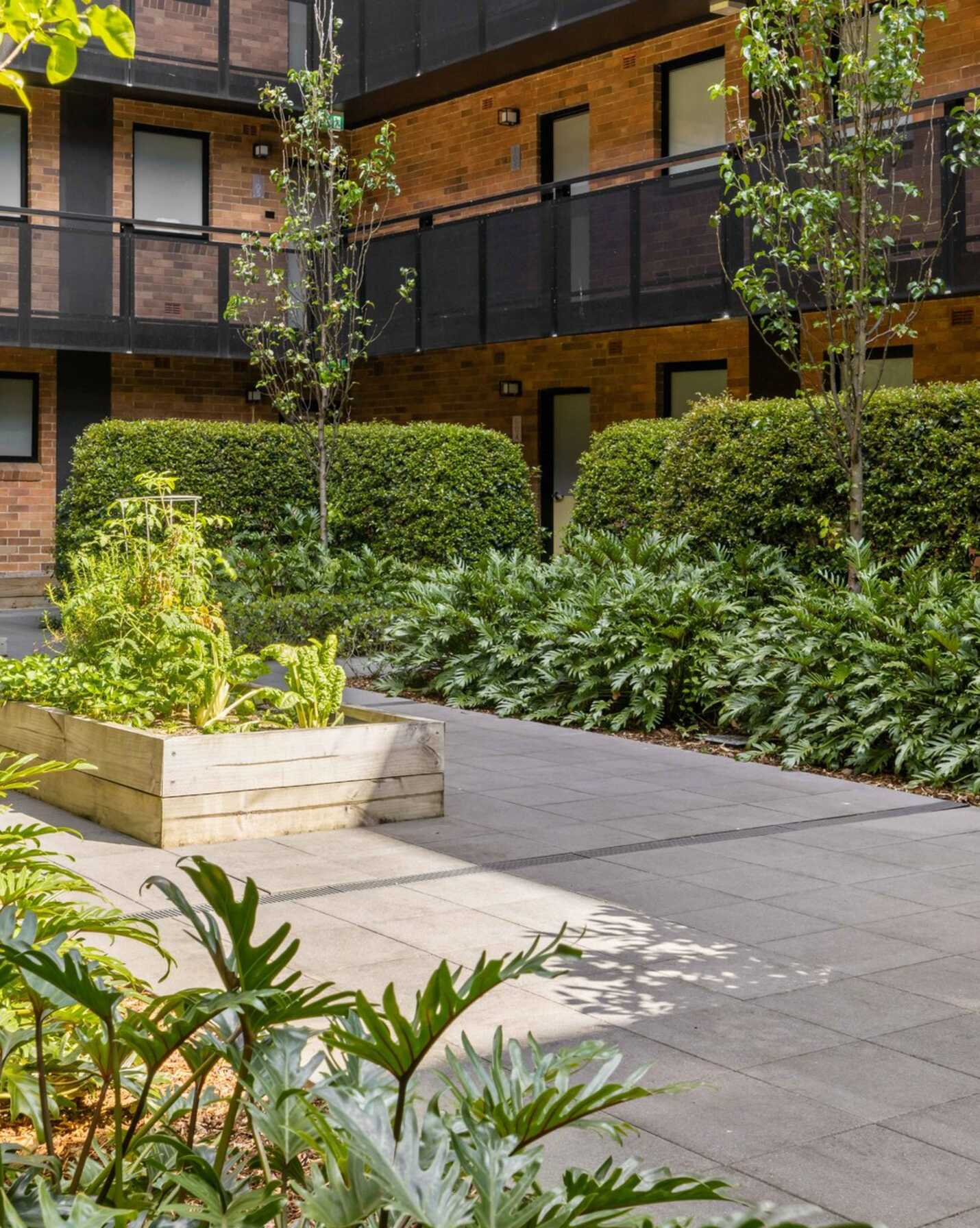 103/11 Osgood Avenue Marrickville, Marrickville - Thumbnail 8