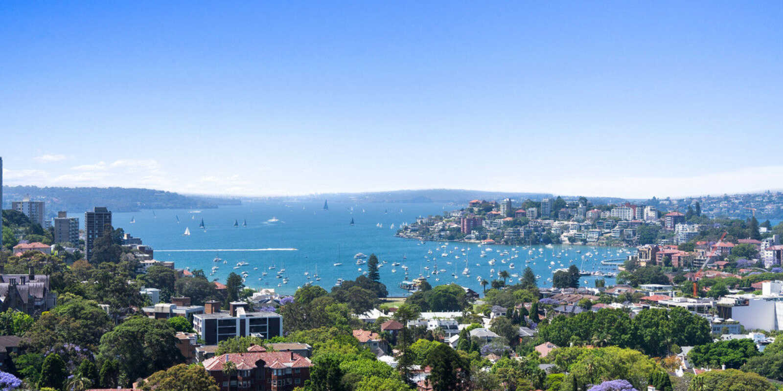 1802/180 Ocean Street Edgecliff