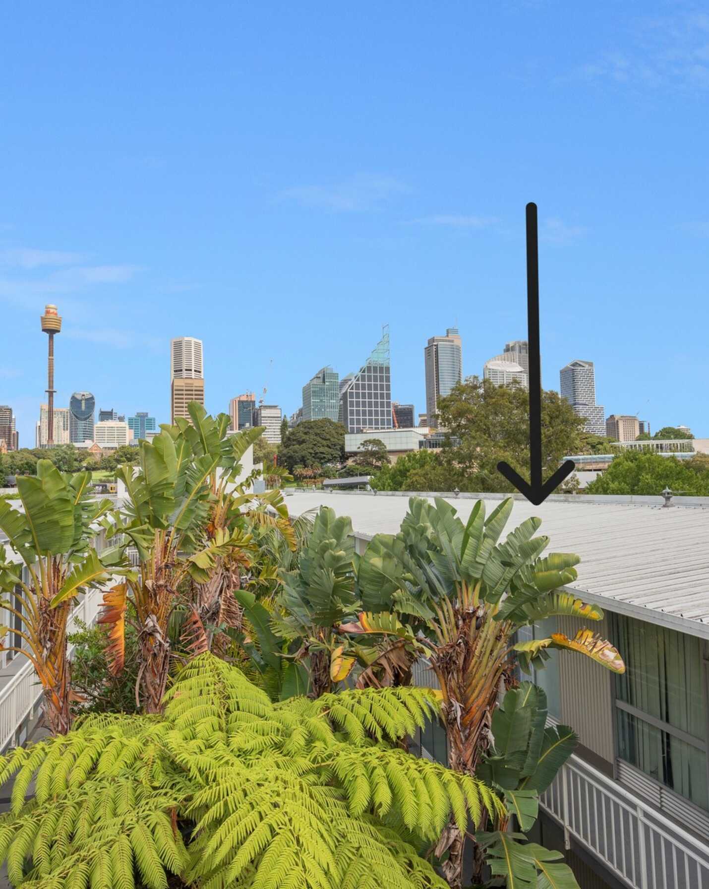 74/19-23 Forbes Street Woolloomooloo, Woolloomooloo - Thumbnail 5