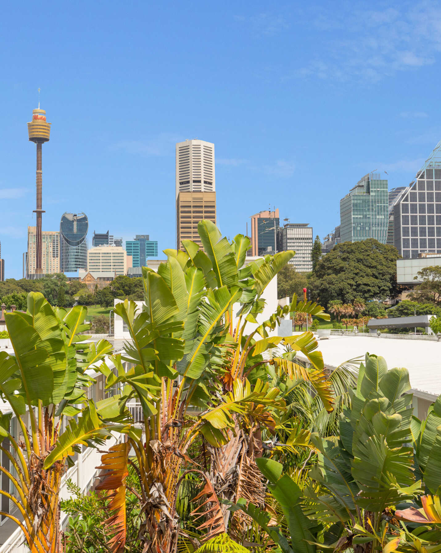 74/19-23 Forbes Street Woolloomooloo, Woolloomooloo - Thumbnail 8