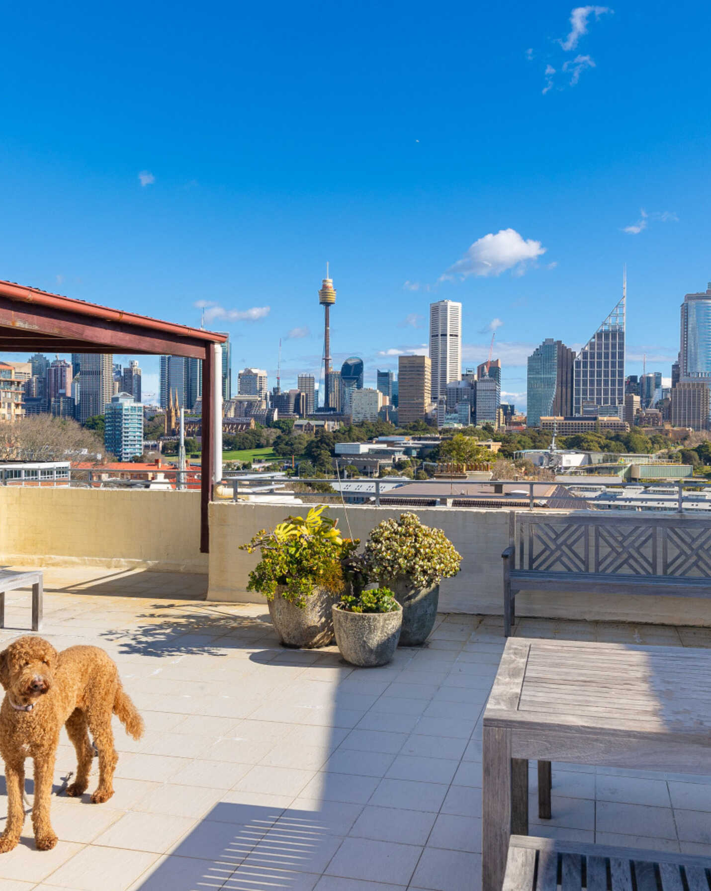17/10a Challis Avenue Potts Point, Point - Thumbnail 5