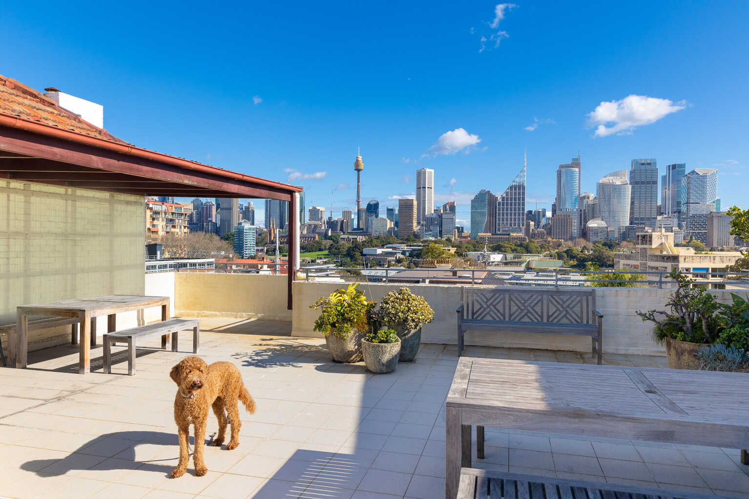 17/10a Challis Avenue Potts Point 17/10a Challis Avenue Potts Point