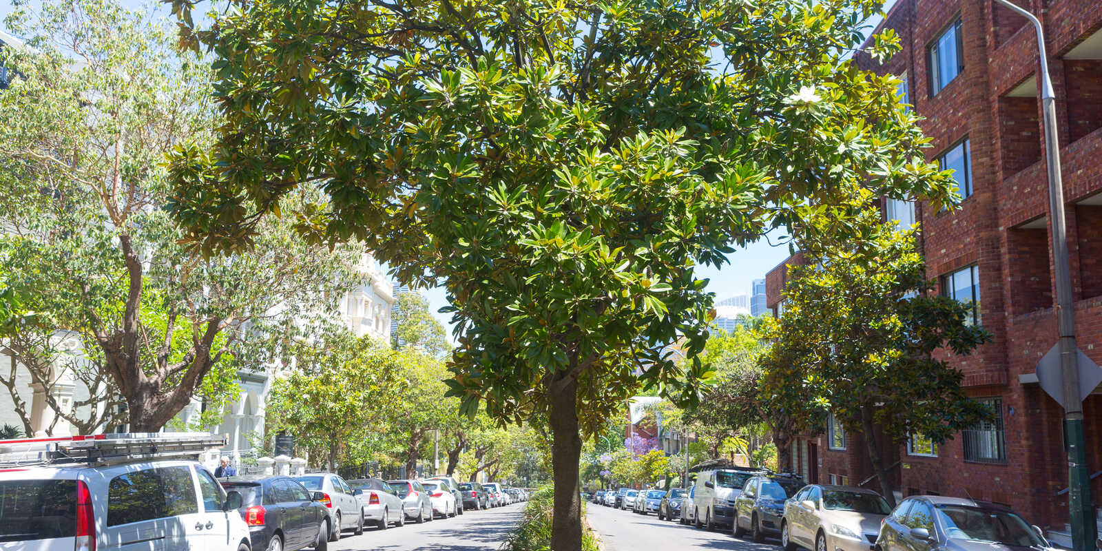 17/10a Challis Avenue Potts Point 17/10a Challis Avenue Potts Point