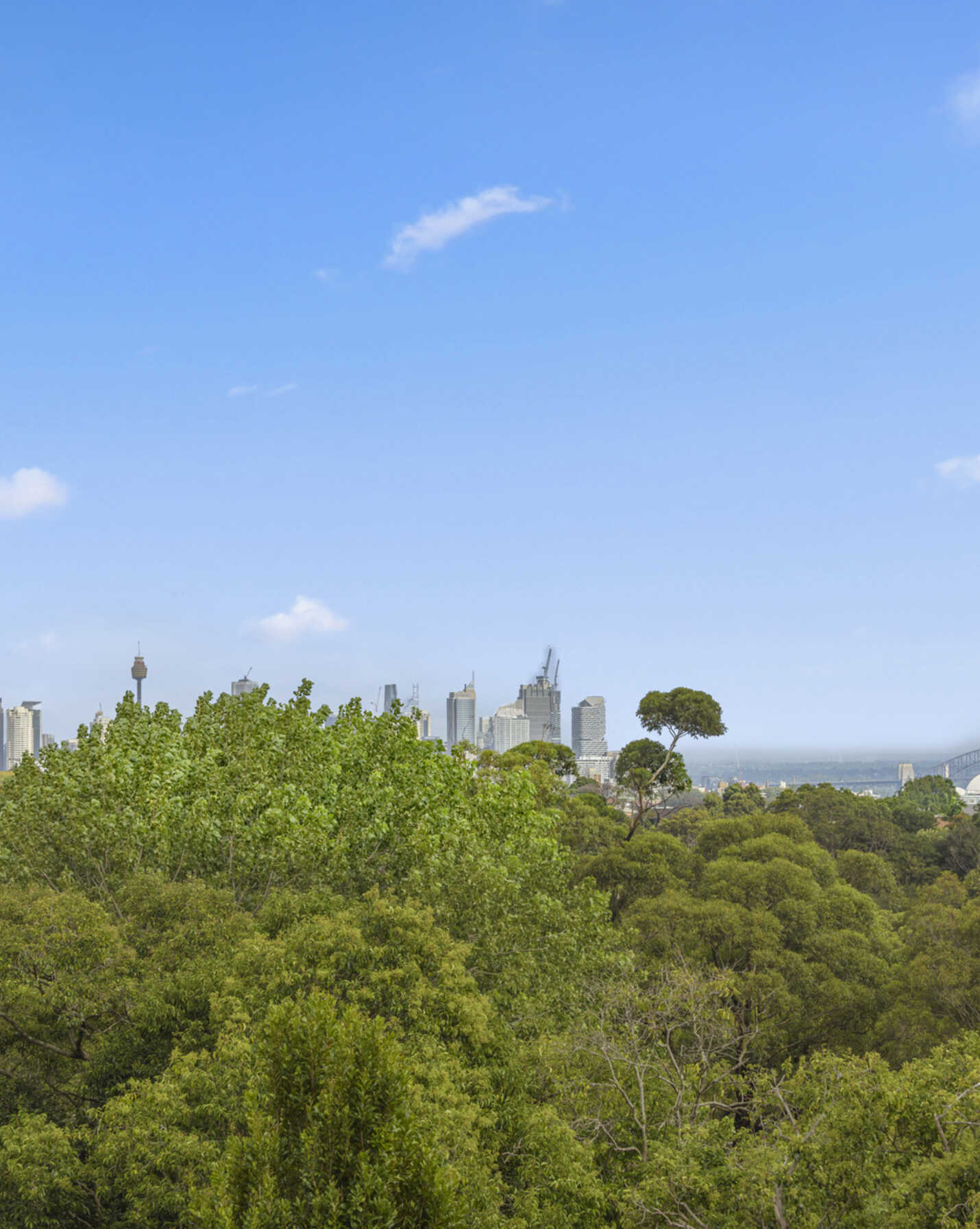 10/206 Victoria Road Bellevue Hill, Hill - Thumbnail 2