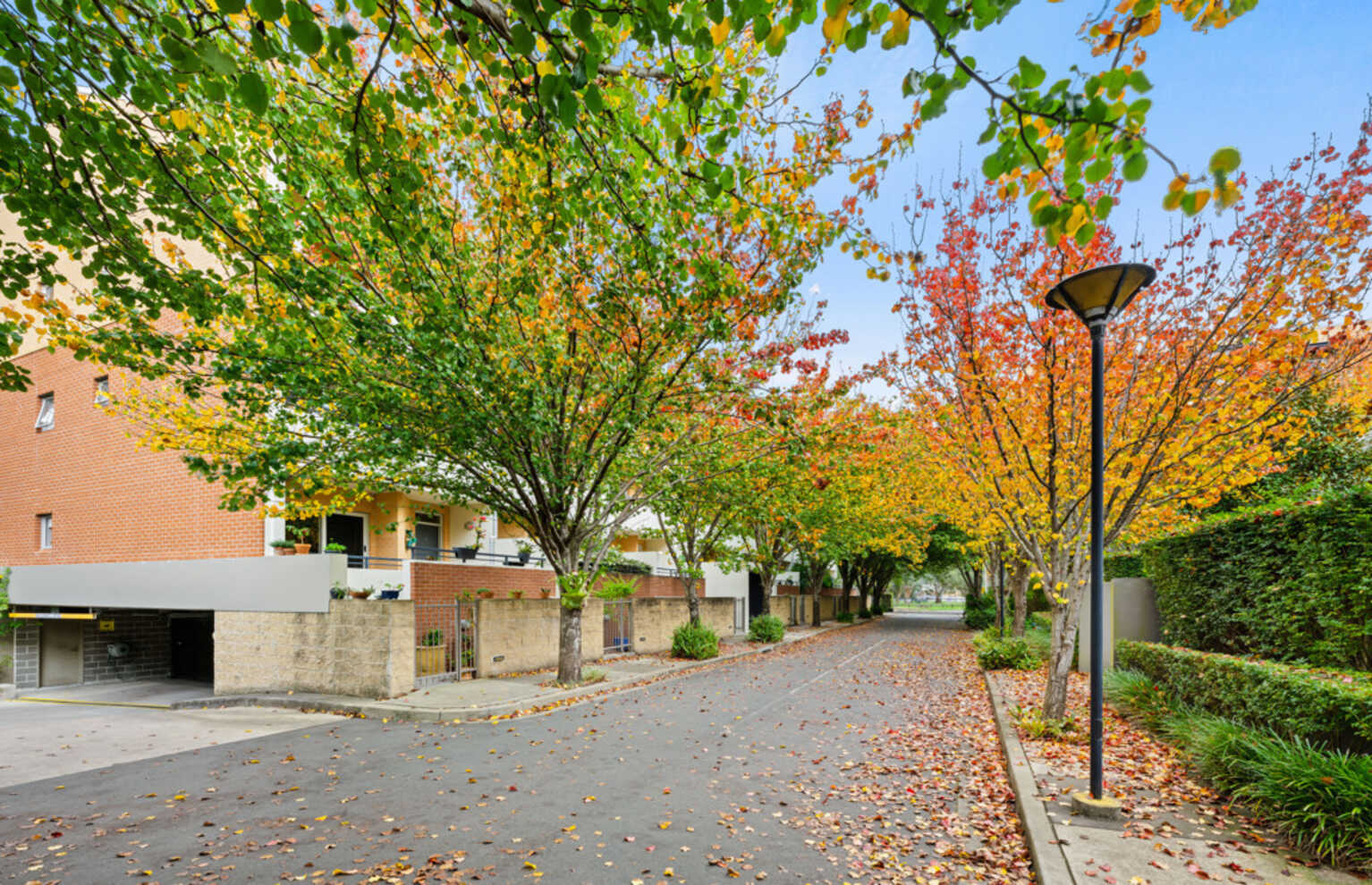 58/20 Close Street Canterbury