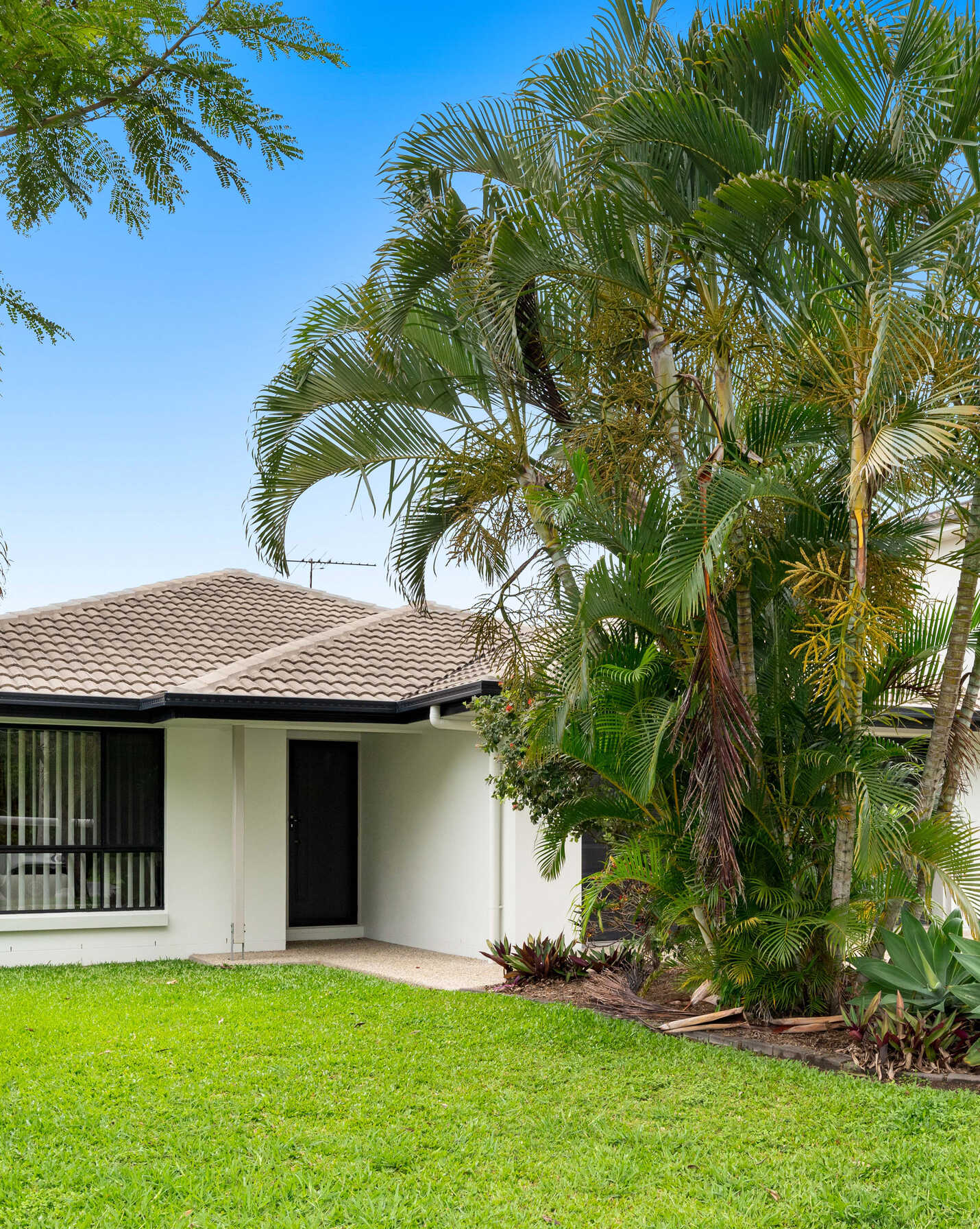 81 Cowie Road Carseldine, Carseldine - Thumbnail 2