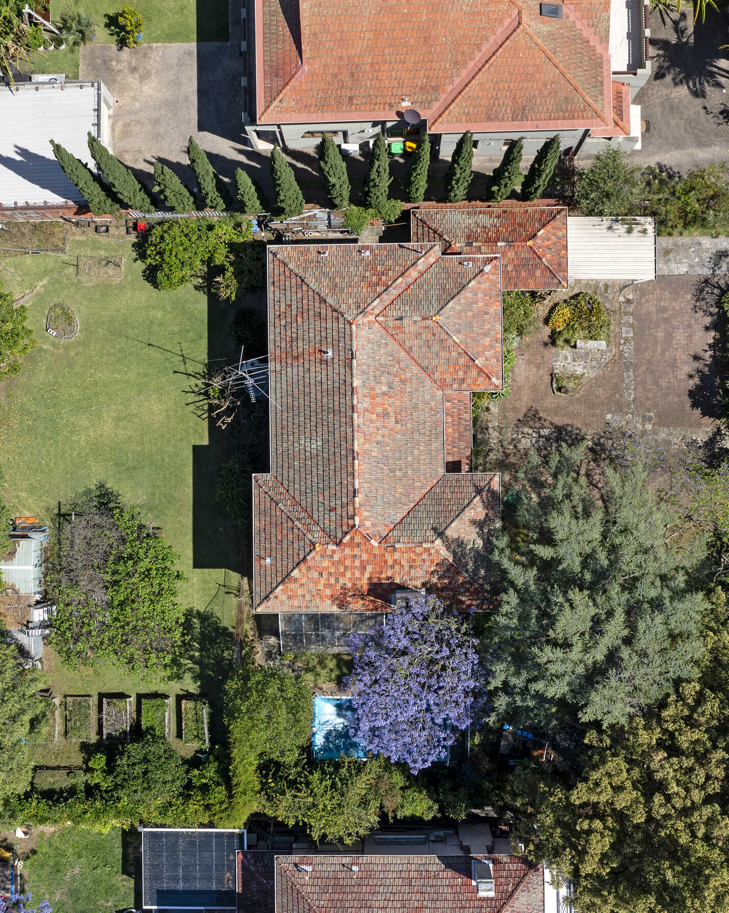 156 The Boulevarde Strathfield, Strathfield - Thumbnail 5