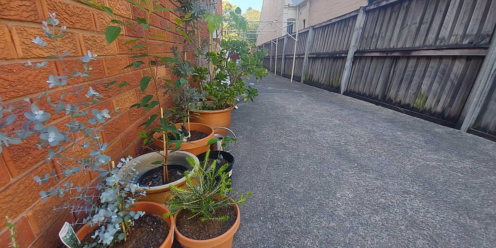 11/41 LORD STREET Newtown