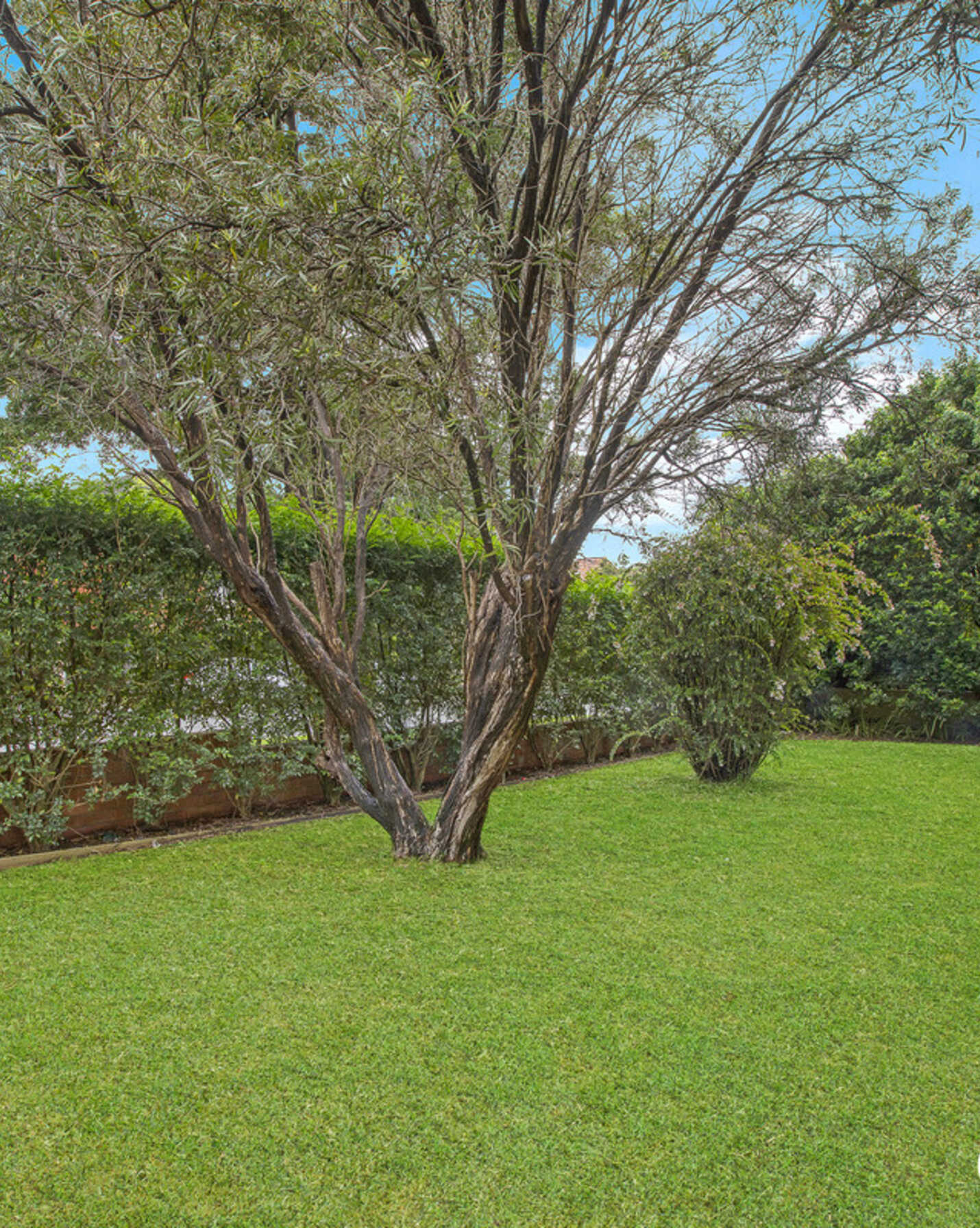 2/10 Punch Street Mosman, Mosman - Thumbnail 8
