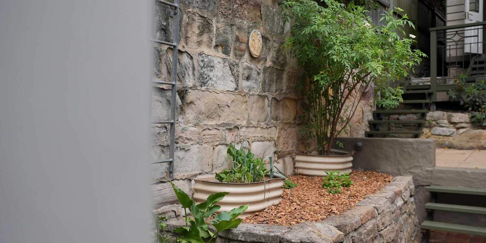 9 Graham Street Rozelle 9 Graham Street Rozelle