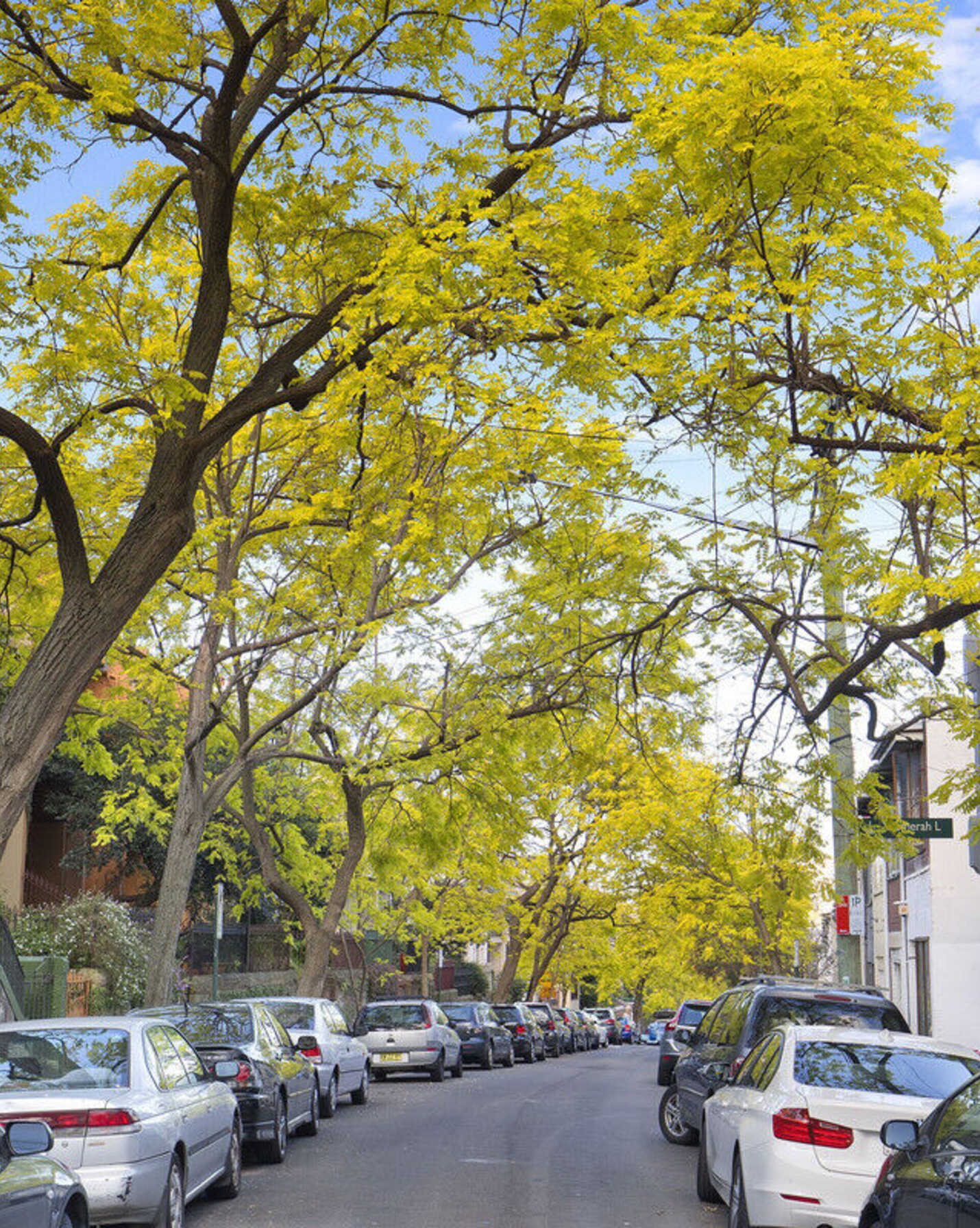 57/15-19 Boundary Street Darlinghurst, Darlinghurst - Thumbnail 7