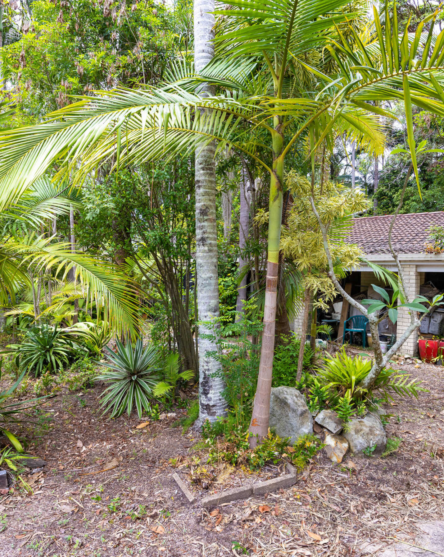 9 Carrock Court Mount Coolum, Coolum - Thumbnail 5