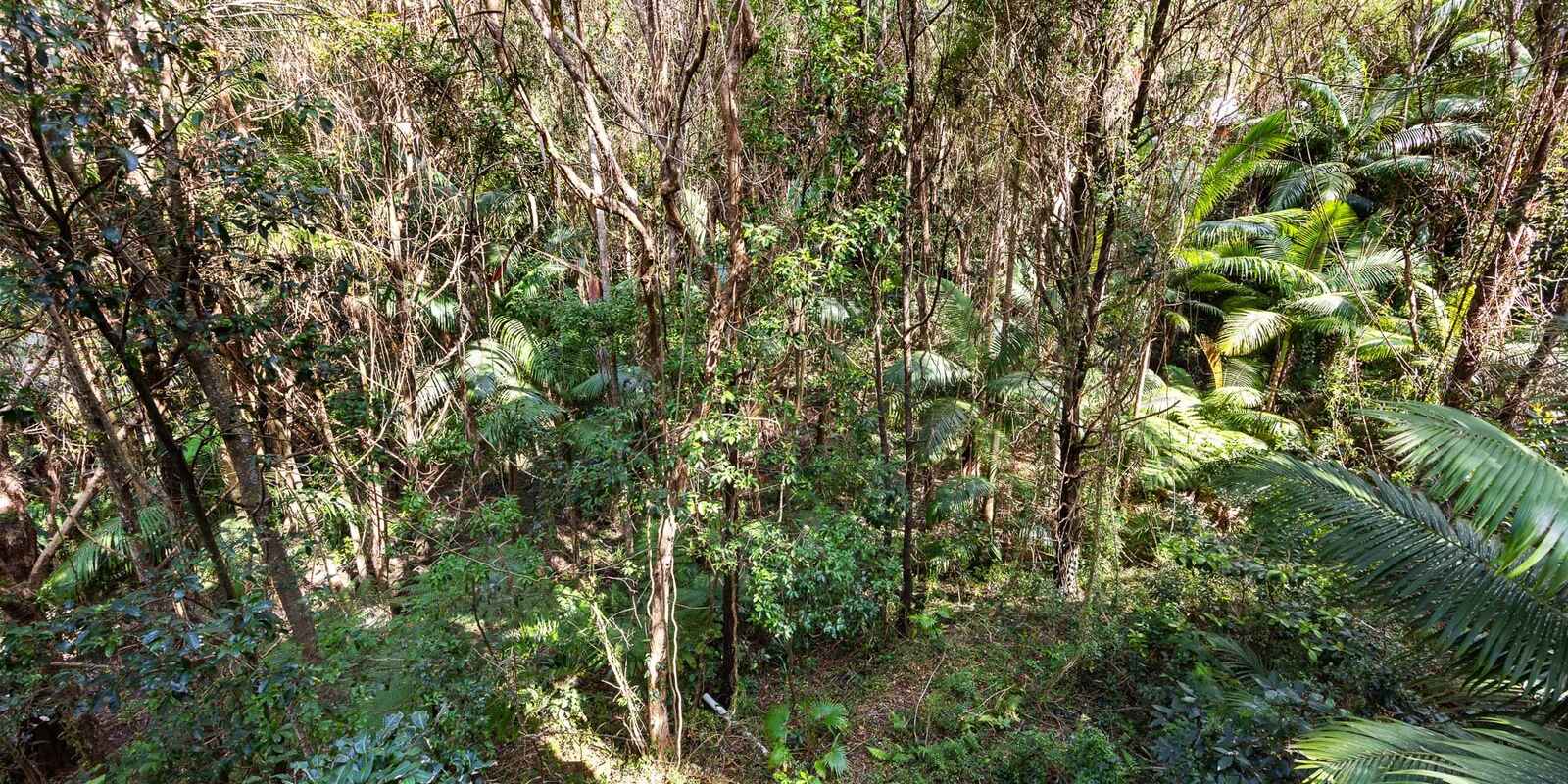 3 Mona Vista Court Coolum Beach