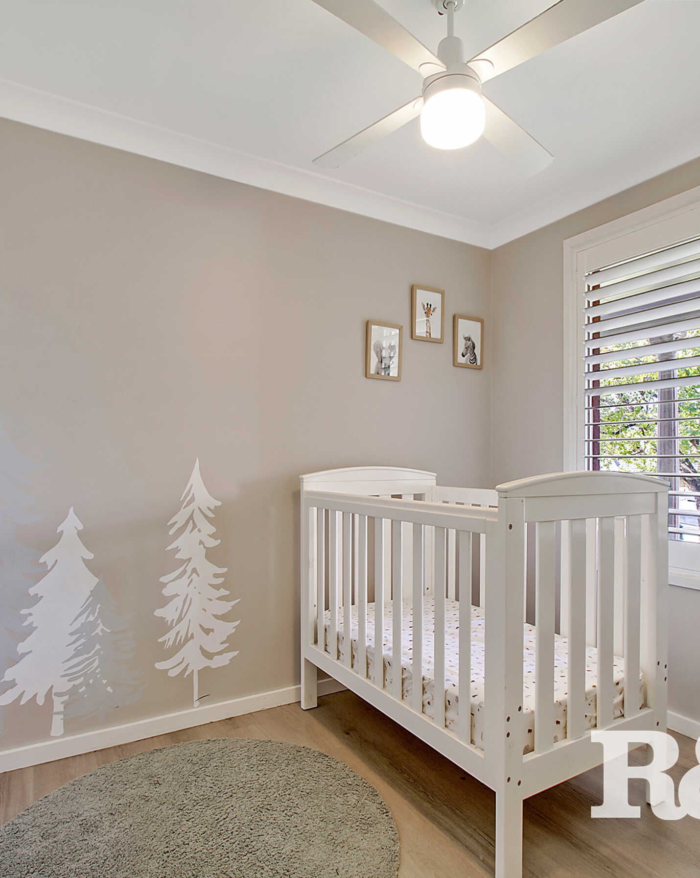 29 Mccartney Crescent St Clair, Clair - Thumbnail 8