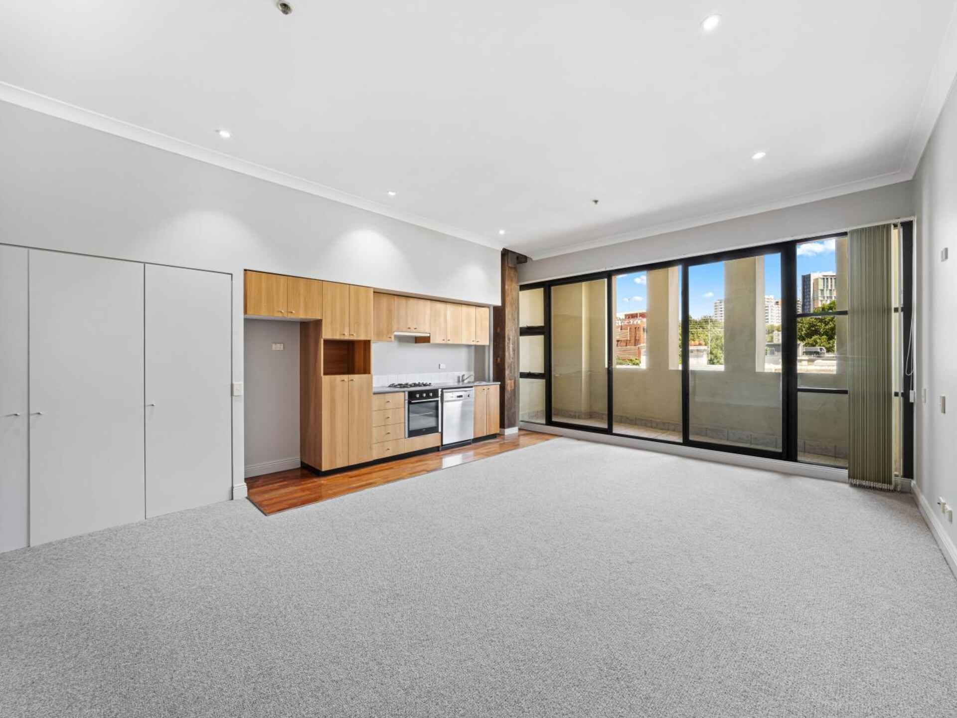 207/82 Abercrombie Street Chippendale