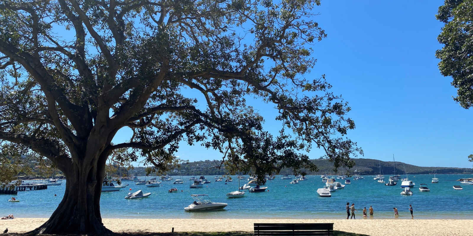 8/76 Muston Street Mosman 8/76 Muston Street Mosman