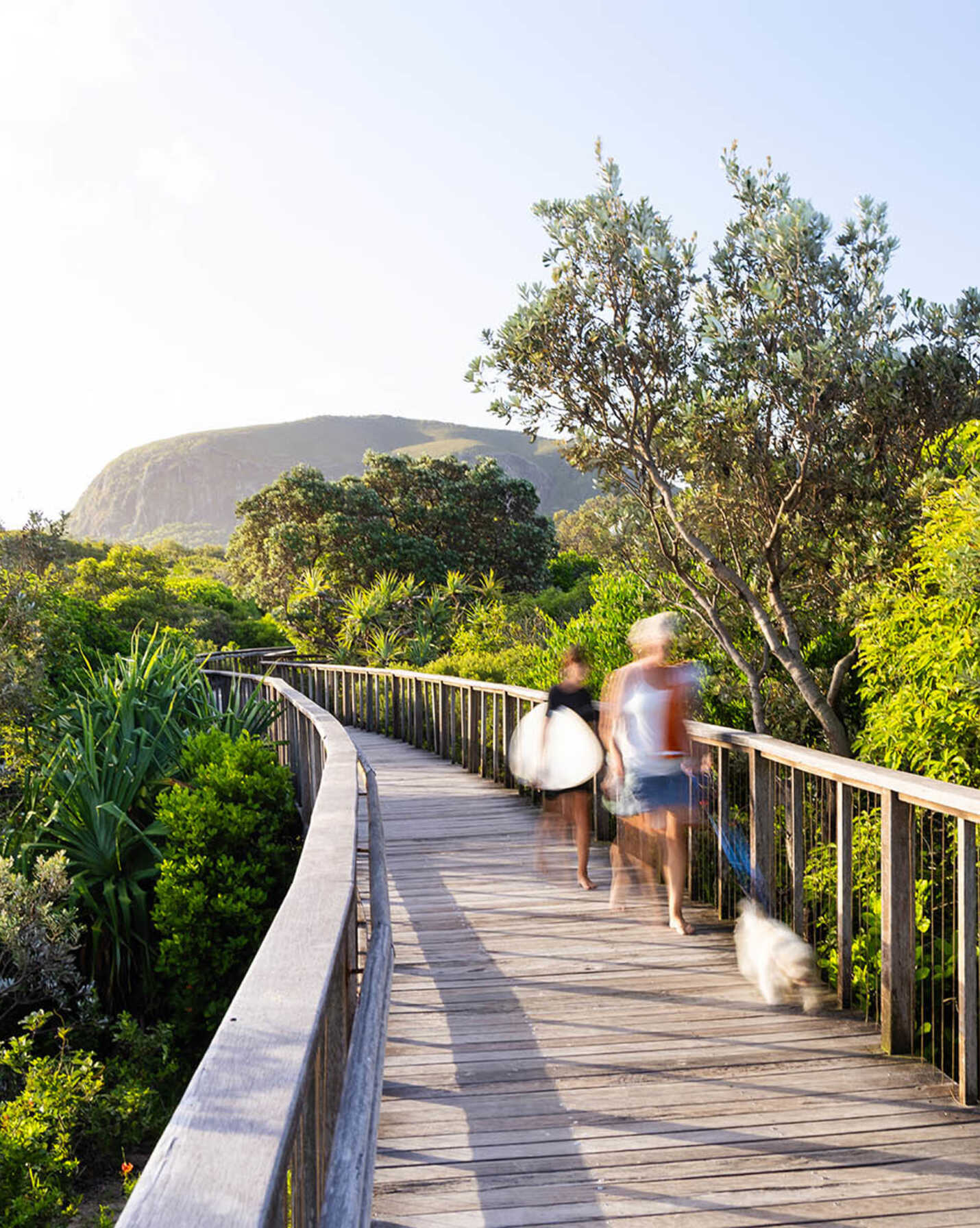 3 Mora Court Coolum Beach, Beach - Thumbnail 8
