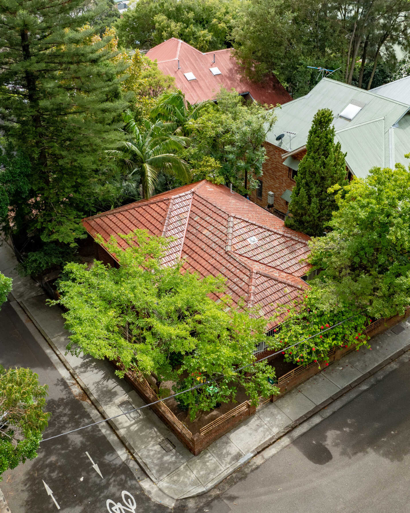17 Kellick Street Waterloo, Waterloo - Thumbnail 2