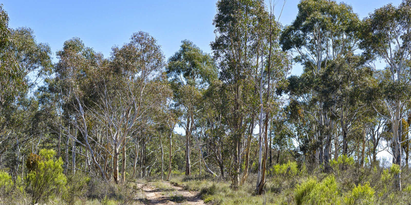 145 Inverary Road Bungonia Goulburn 145 Inverary Road Bungonia Goulburn