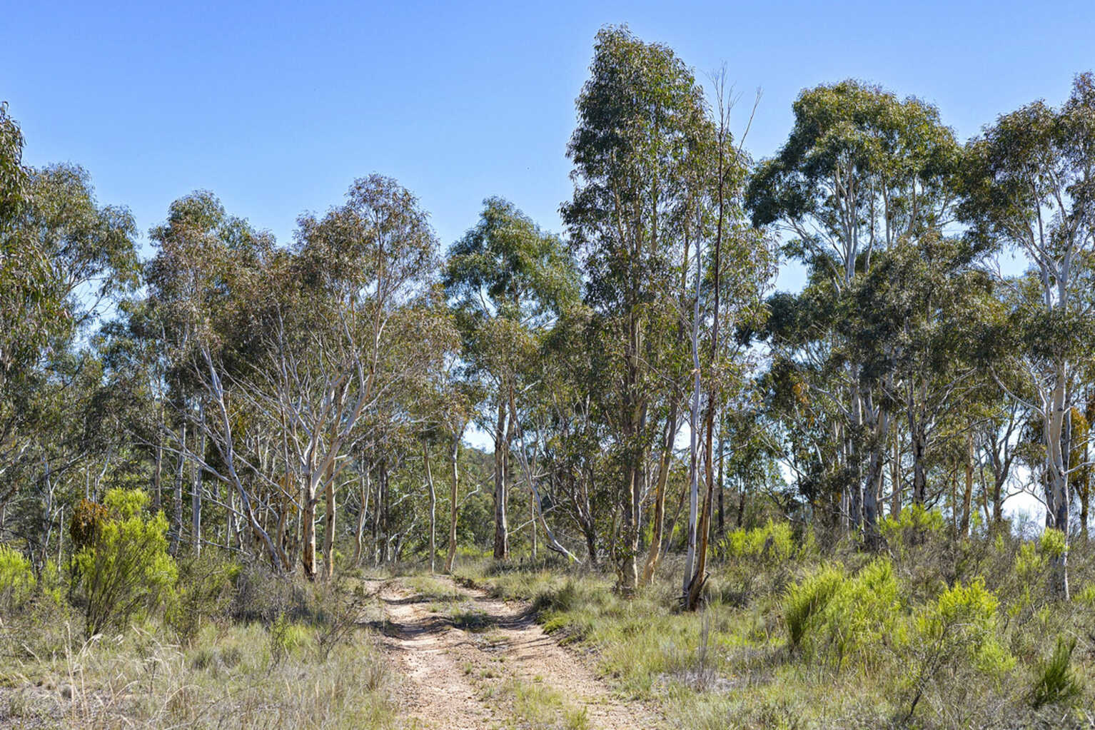 145 Inverary Road Bungonia Goulburn 145 Inverary Road Bungonia Goulburn