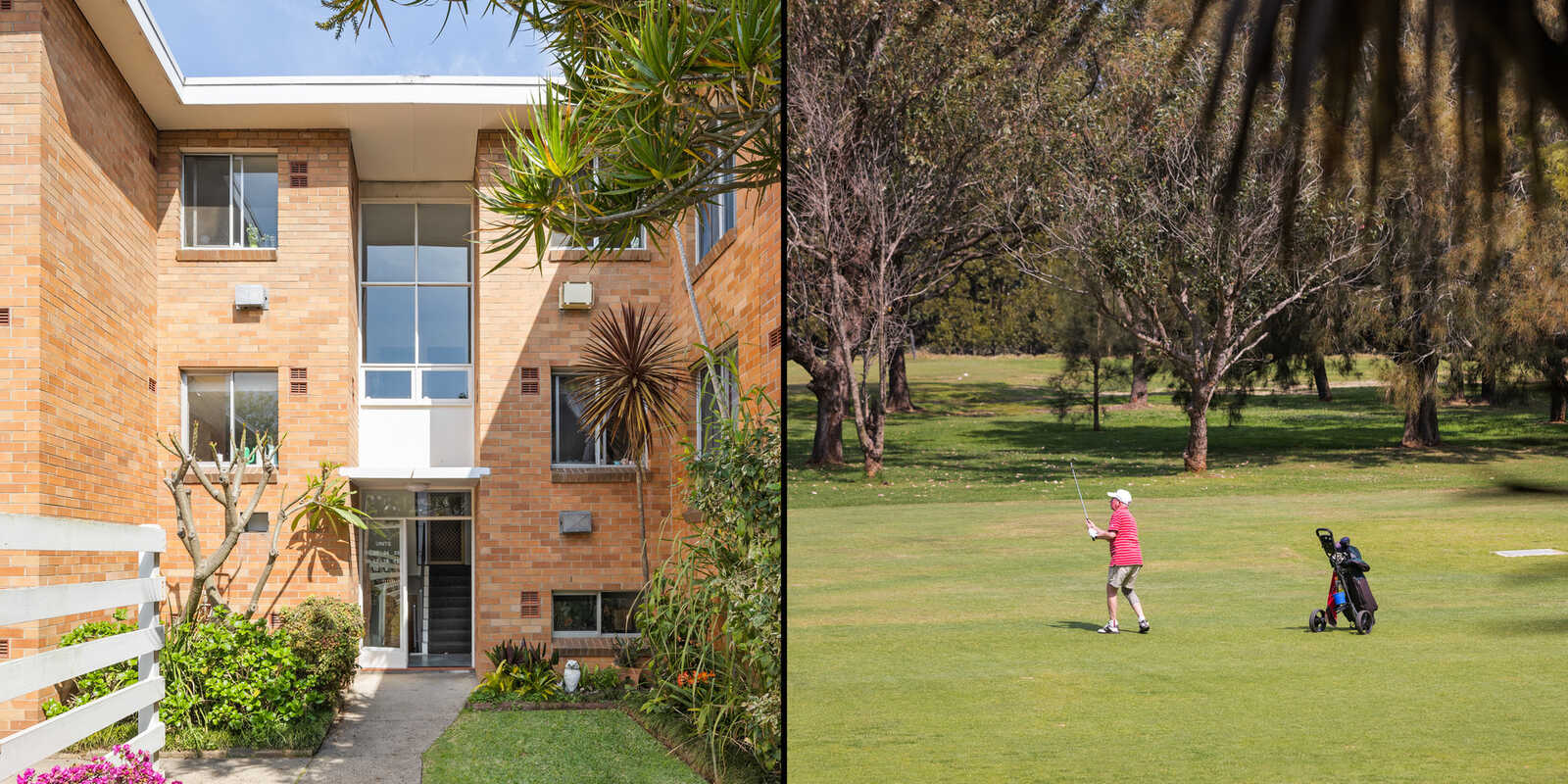 24/22 Ness Avenue Dulwich Hill 24/22 Ness Avenue Dulwich Hill