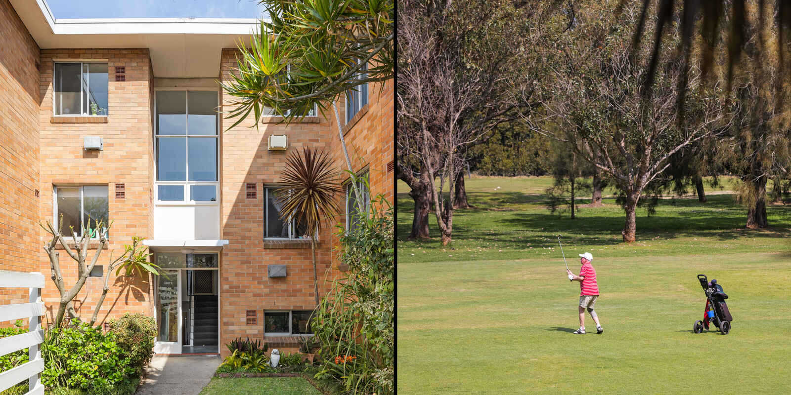 24/22 Ness Avenue Dulwich Hill 24/22 Ness Avenue Dulwich Hill