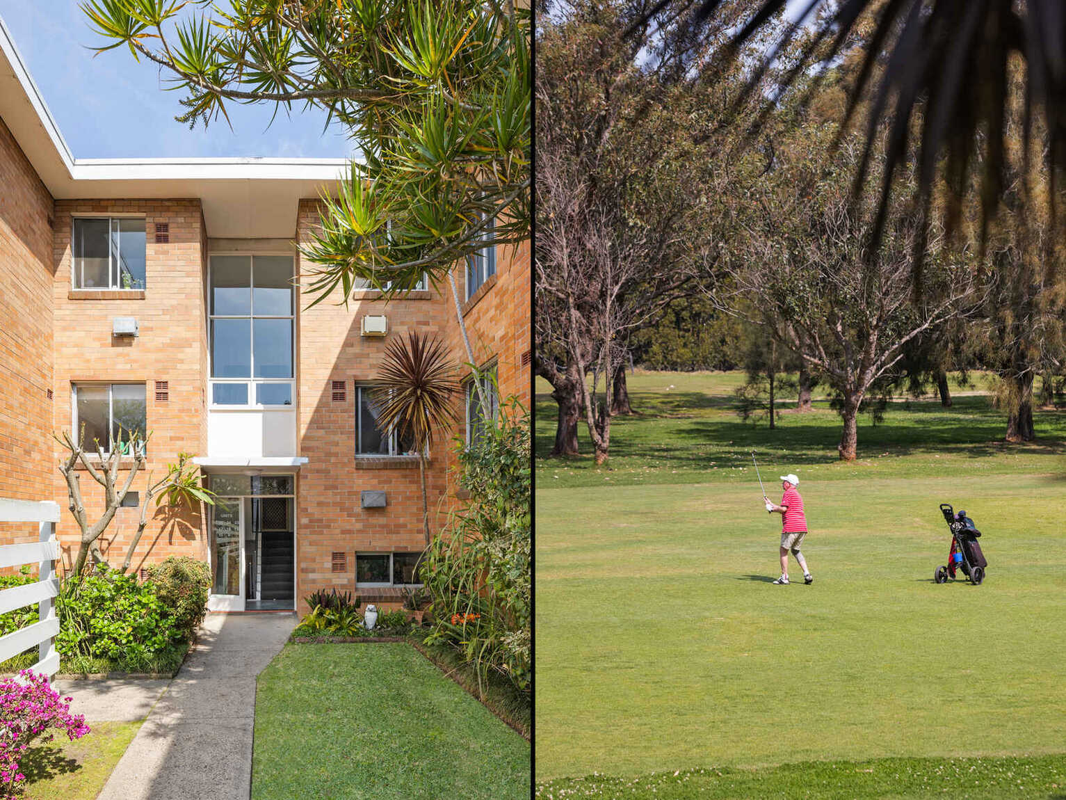 24/22 Ness Avenue Dulwich Hill 24/22 Ness Avenue Dulwich Hill