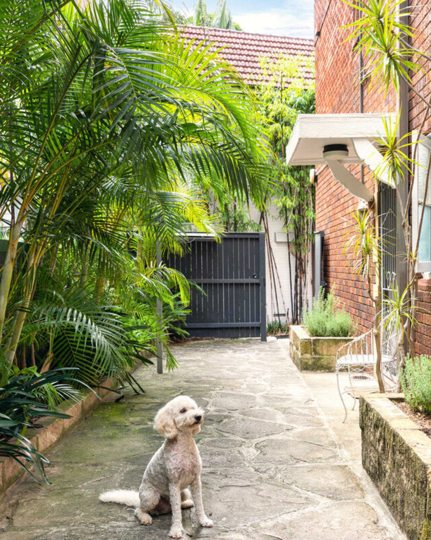 18/20 Ocean Avenue Double Bay, Bay - Thumbnail 7