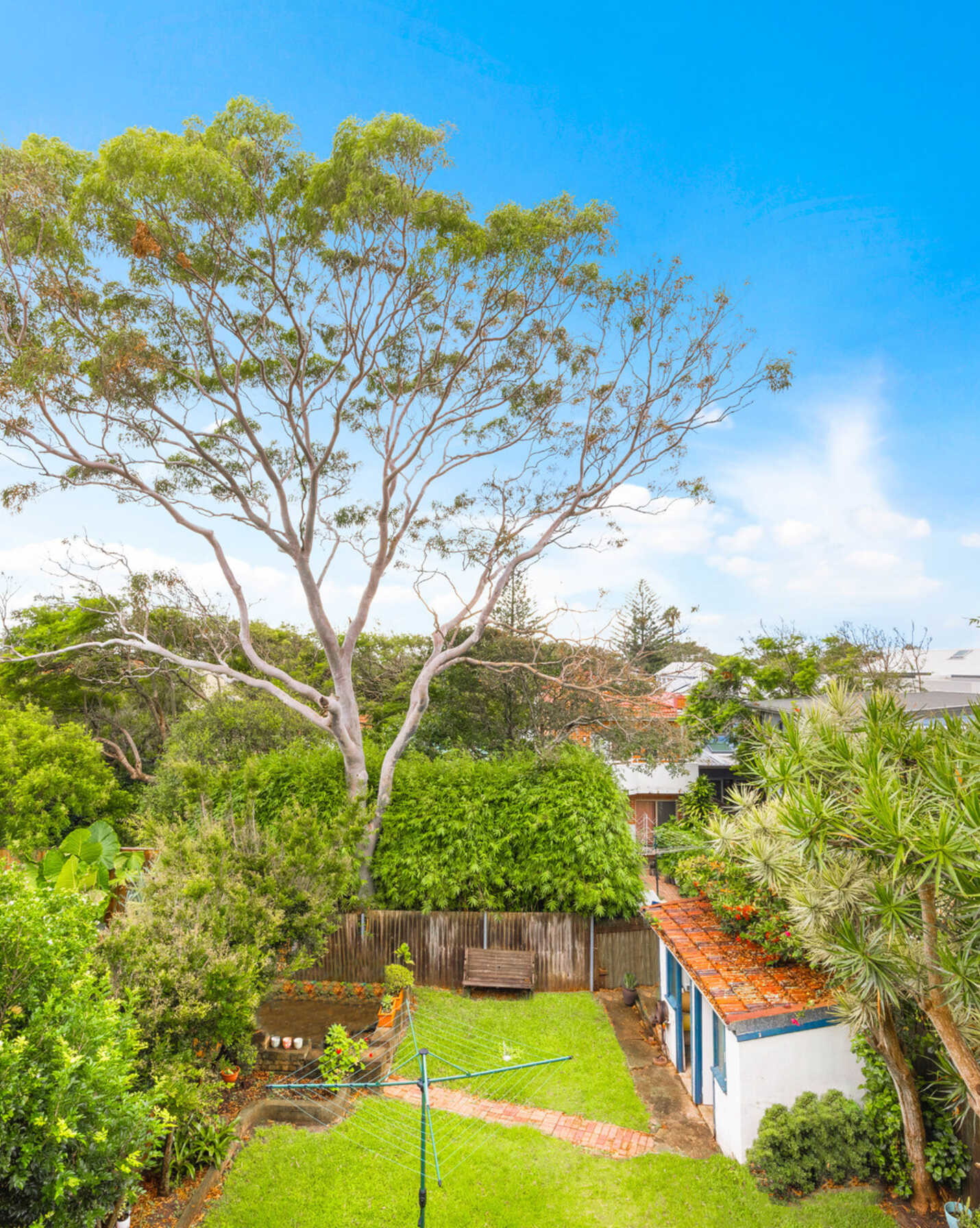 4/96 Ocean Street Bondi, Bondi - Thumbnail 3