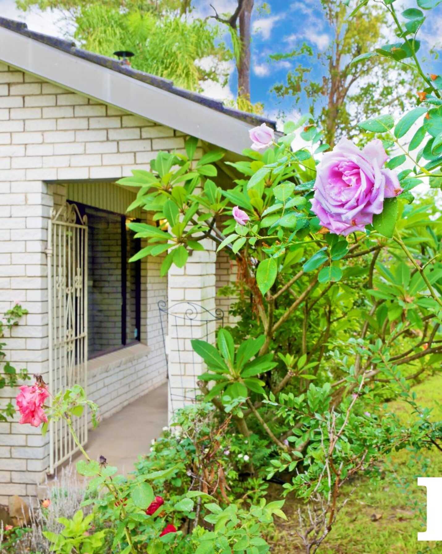 2 Birch Place, Bidwill - Thumbnail 3