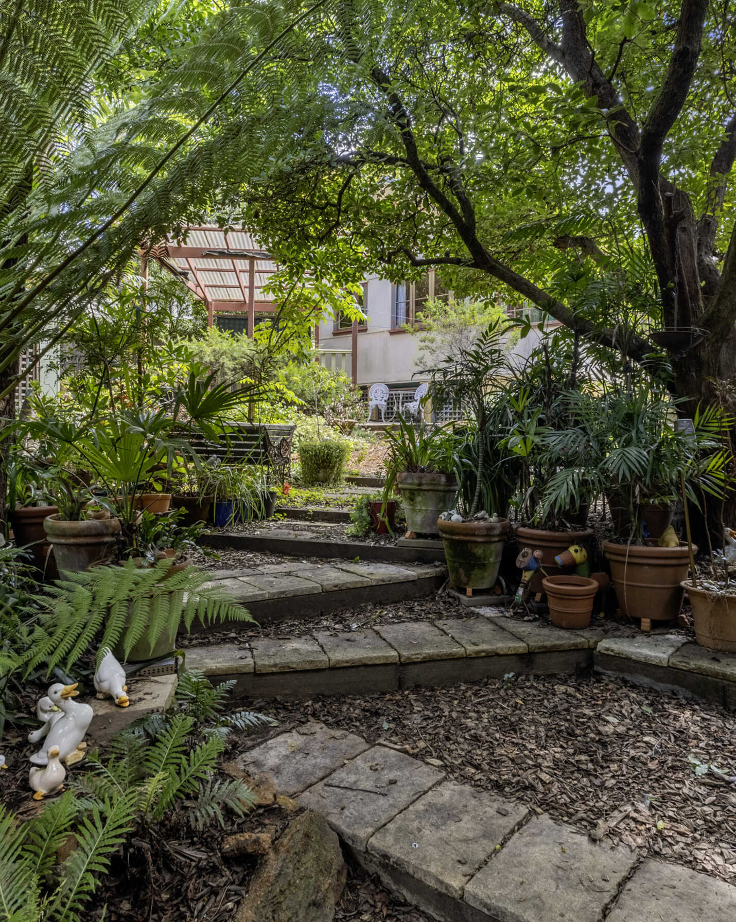 46 Taylor Avenue Wentworth Falls, Falls - Thumbnail 2