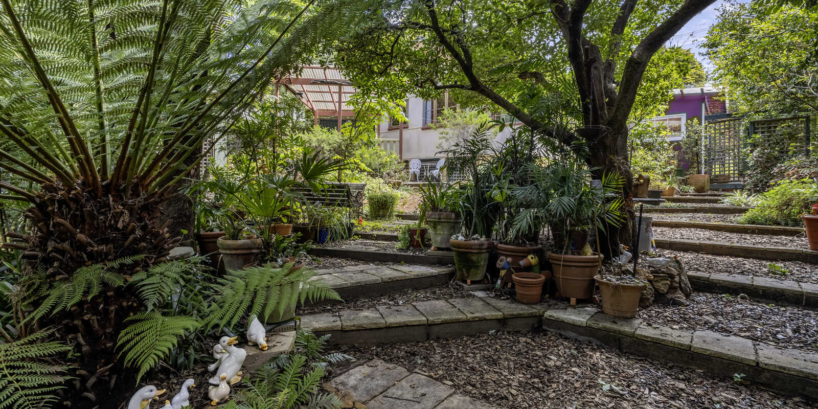 46 Taylor Avenue Wentworth Falls 46 Taylor Avenue Wentworth Falls