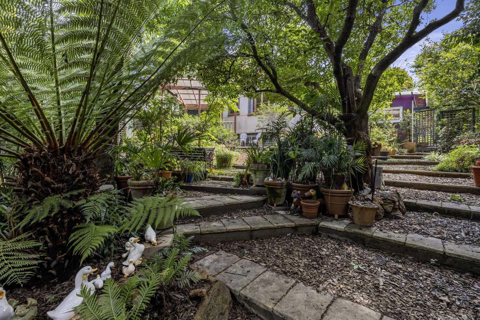 46 Taylor Avenue Wentworth Falls 46 Taylor Avenue Wentworth Falls