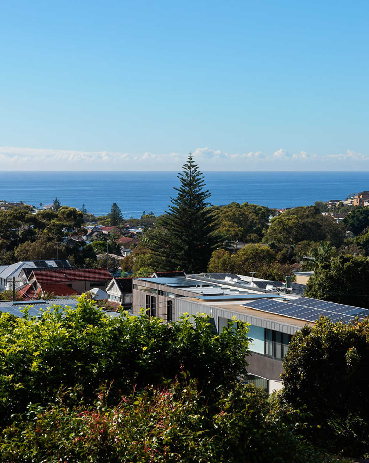 24 Douglas Street Clovelly, Clovelly - Thumbnail 3