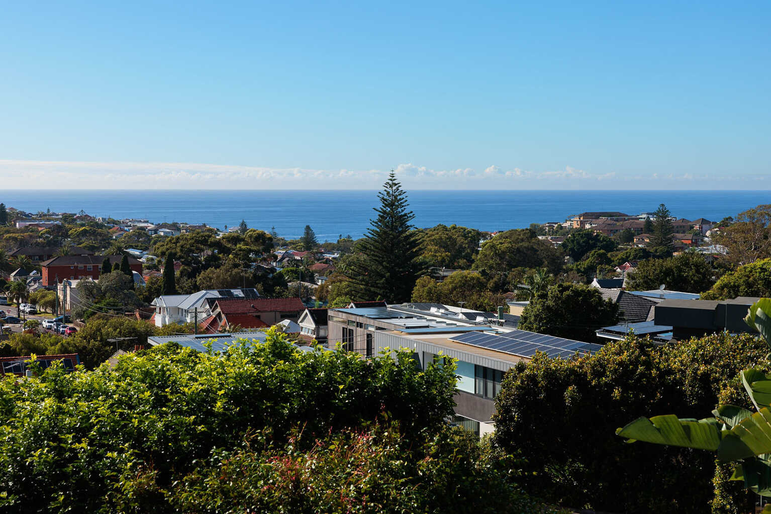 24 Douglas Street Clovelly 24 Douglas Street Clovelly